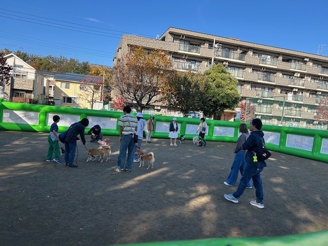 仮設ドッグランの様子